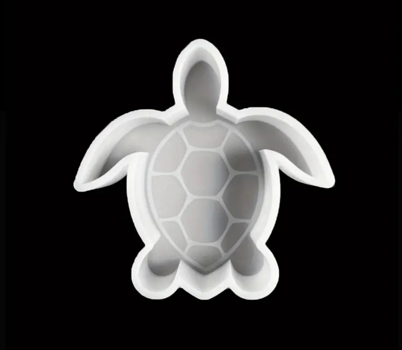 Sea Turtle